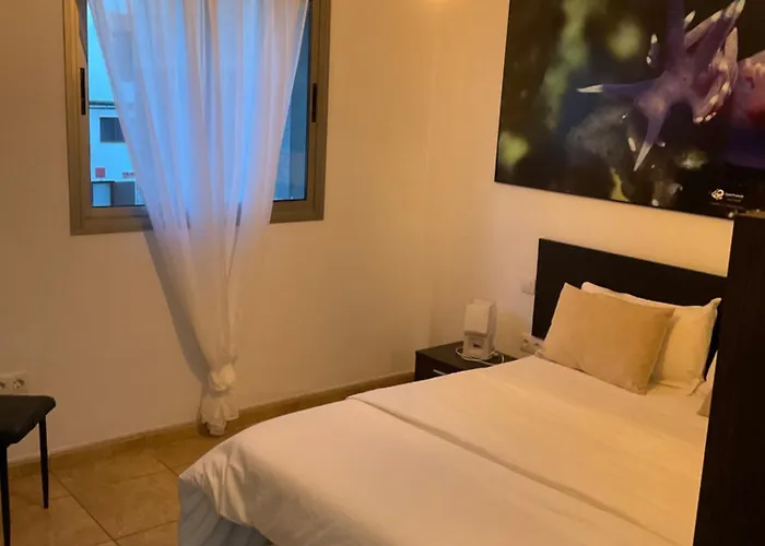 公寓 Vv Princesa Guayarmina *