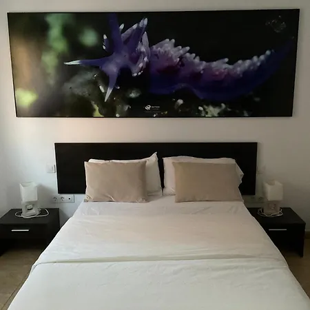 Vv Princesa Guayarmina